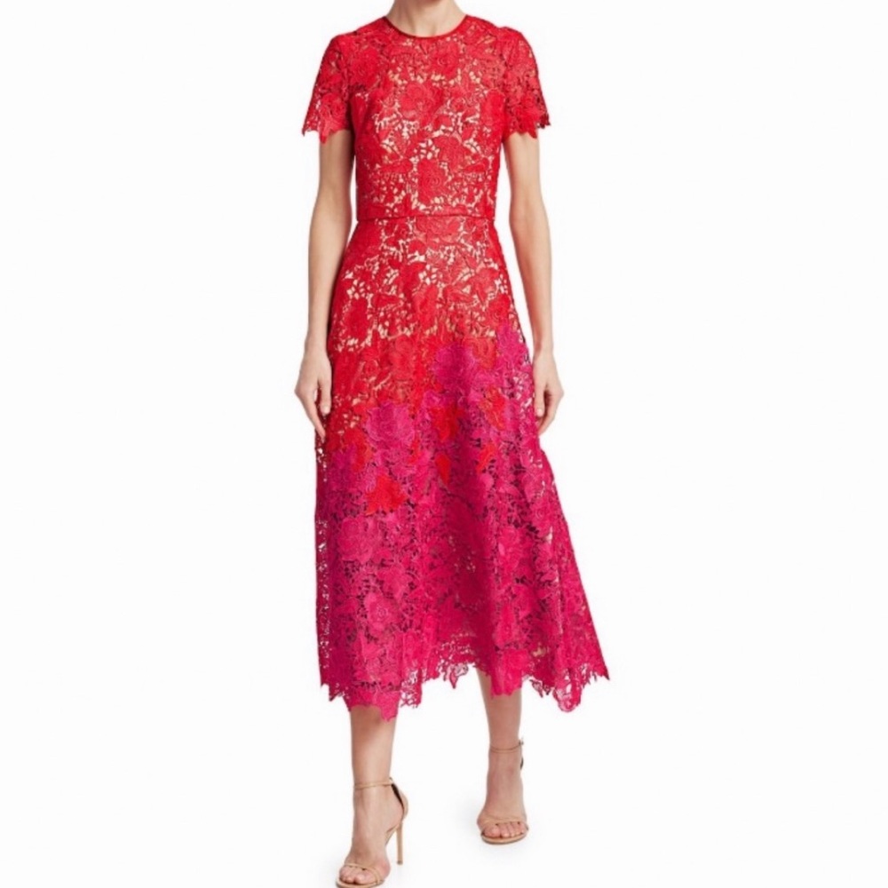 Theia Ombre Lace Short-Sleeve Tea  lenth Dress